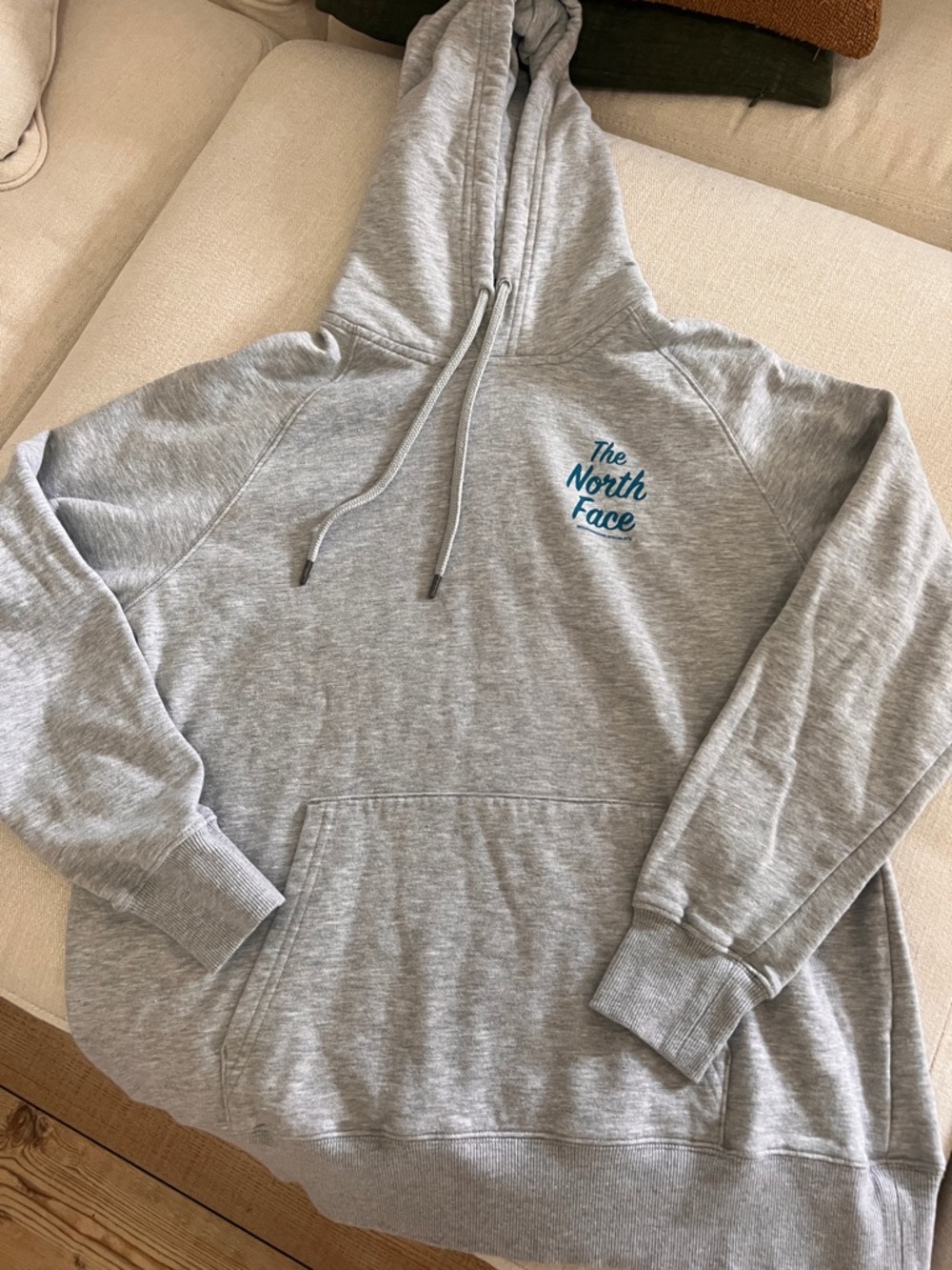 The North Face Light Gray Hoodie with Teal Logo